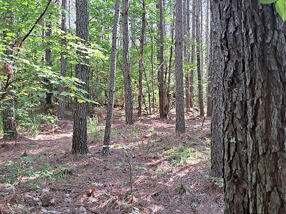 3rd image of Airport Road Pca Lot 8