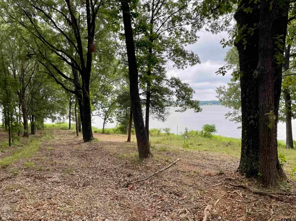 101 Sterling Shores Dr, Scroggins, TX 75480