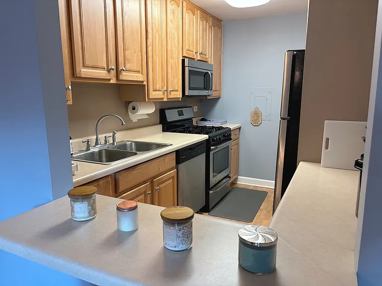 910 W Alleghany Dr #1C — Photo 3