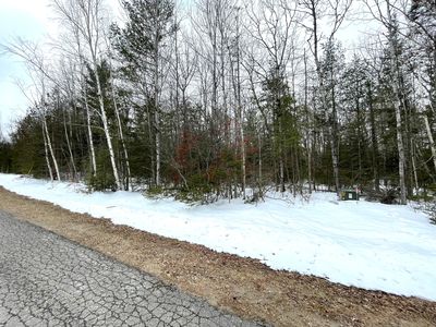 Doyle Dr, Presque Isle, MI, 49777