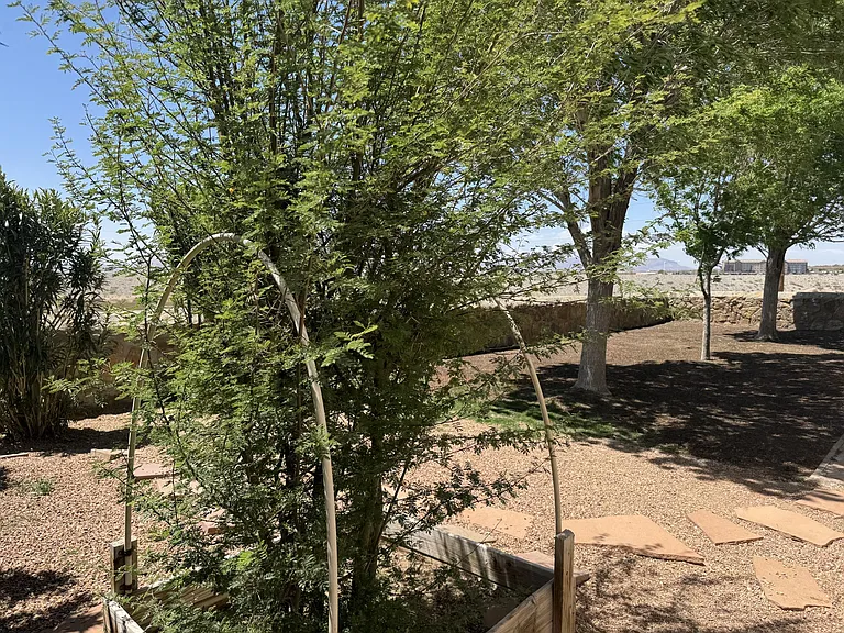 2651 Sunset Pl — Photo 29