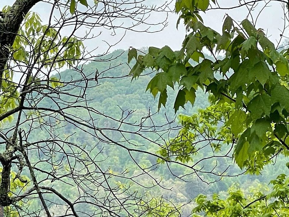 1st image of LOT Big Buck Cv