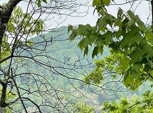 LOT Big Buck Cv, Hayesville, NC 28904