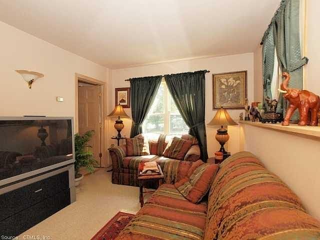 The living room, furnishing NOT included