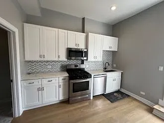 1856 S Blue Island Ave #2R Photo 1