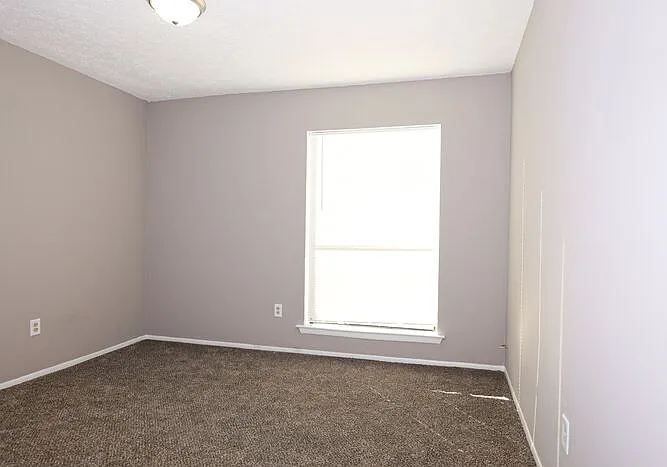 232 Pinewood Dr — Photo 4