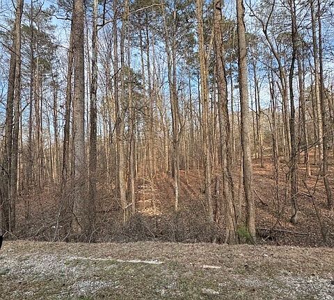 2nd image of 0 Cascade Palmetto Hwy
