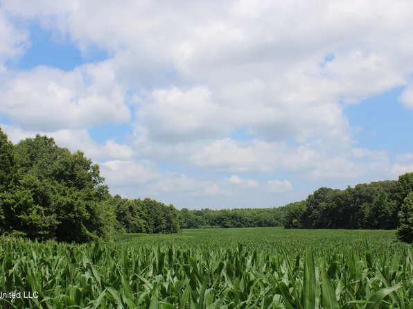 1200 Dorse Rd, Michigan City, MS 38647