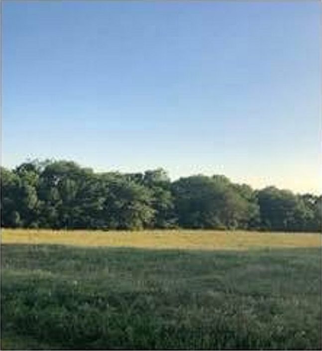2nd image of 5296 H Rd