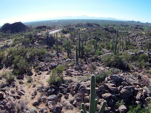2nd image of 1313 W Tortolita Mountain Cir