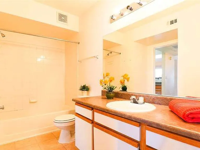 6650 W Warm Springs Rd #2087 — Photo 10