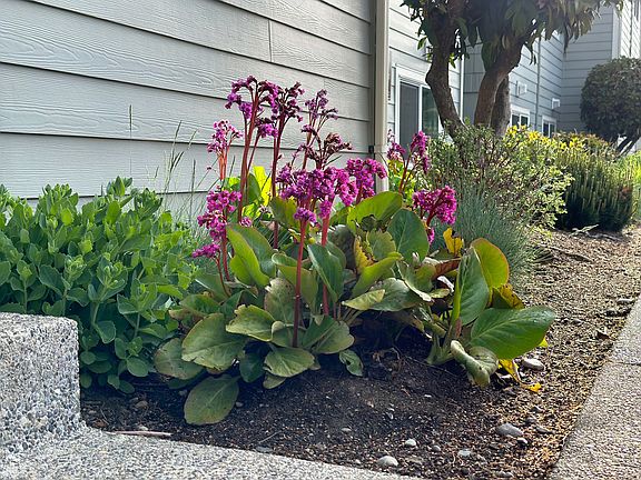Steele Manor Exteriors