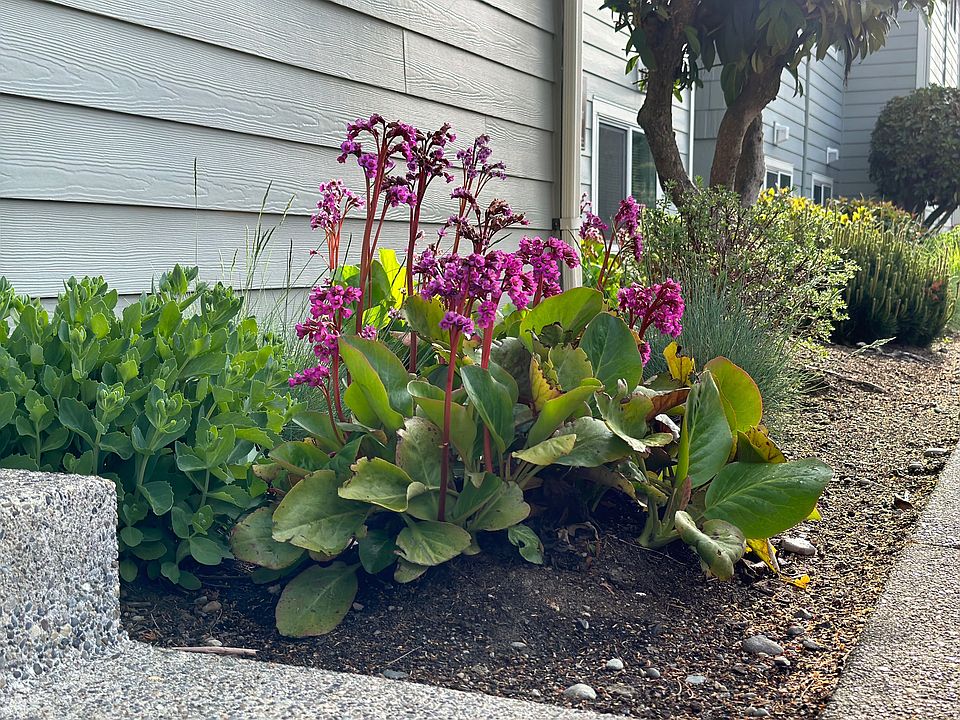 Steele Manor Apartments 621 S Steele St WA Zillow