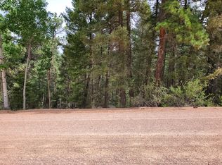 2539 N Mountain Estates Rd, Florissant, CO 80816