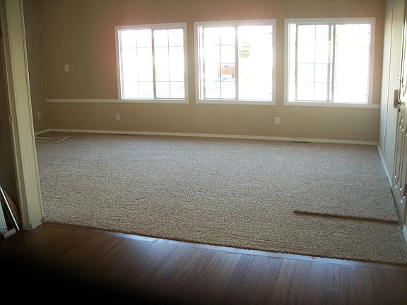 living room- new windows
