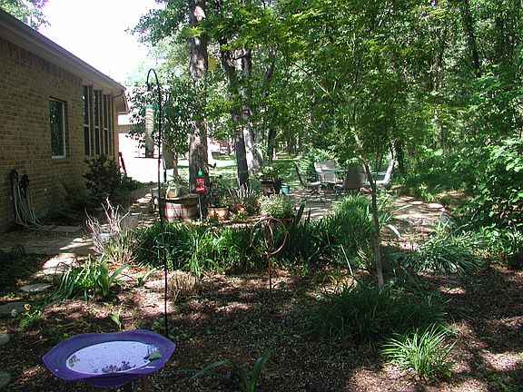 Proffesionaly Land scaped