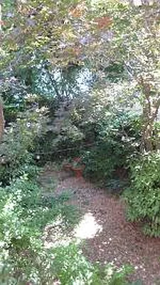 Rented by Corcoran | media 12