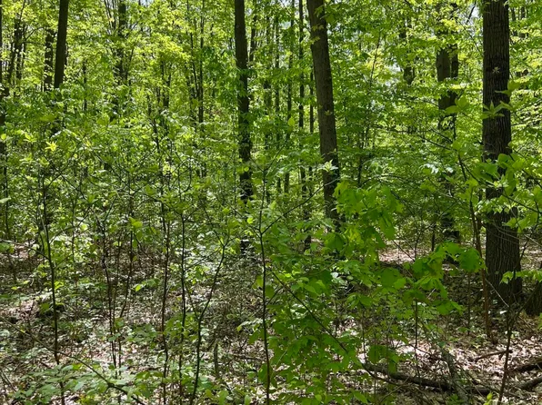 50861 Catalpa St, Grand Junction, MI 49056