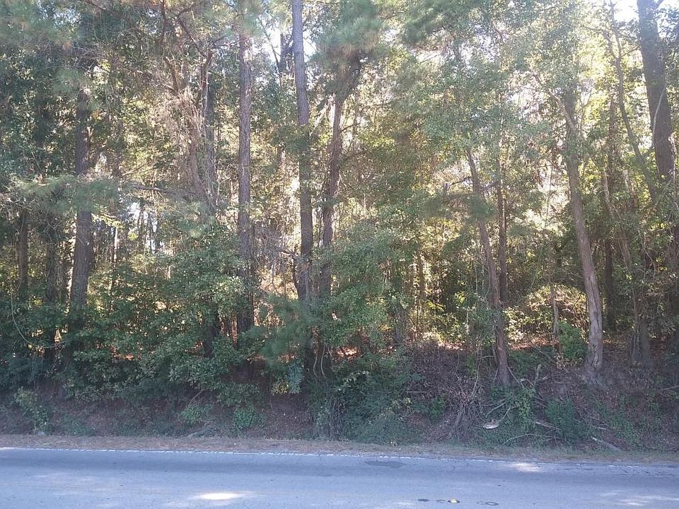 2nd image of 229 Orangeburg Rd