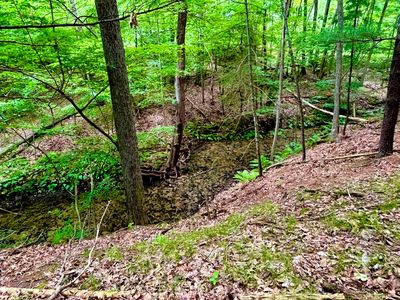 8420 Bailey Dr #1, Ada, MI, 49301