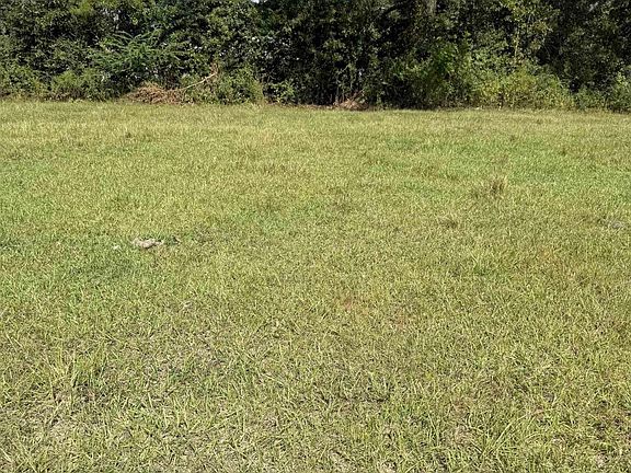 2nd image of TRACT B Lockhart Rd #1