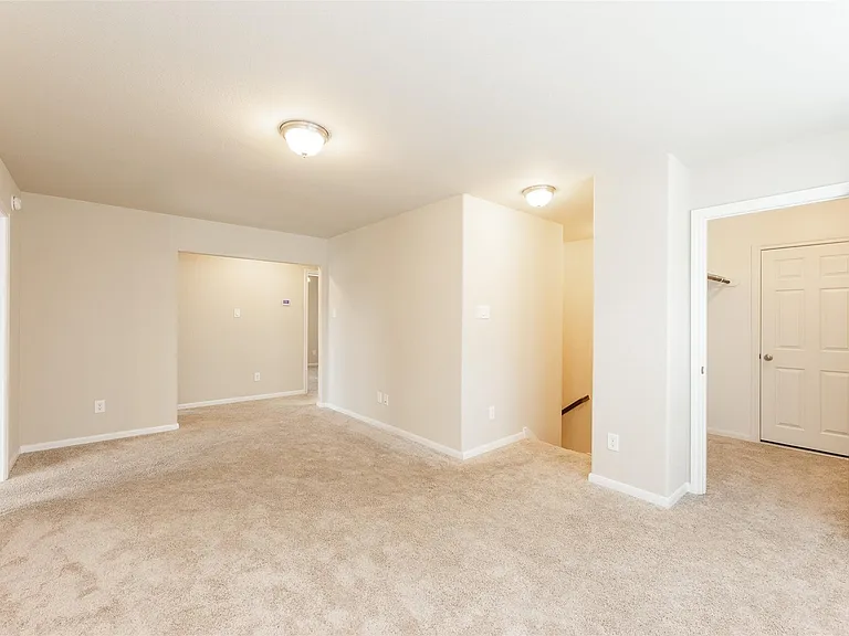 16915 Sedum Grn — Photo 20