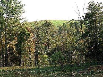 000 Reno Hollow Road, Spokane, MO, 65754