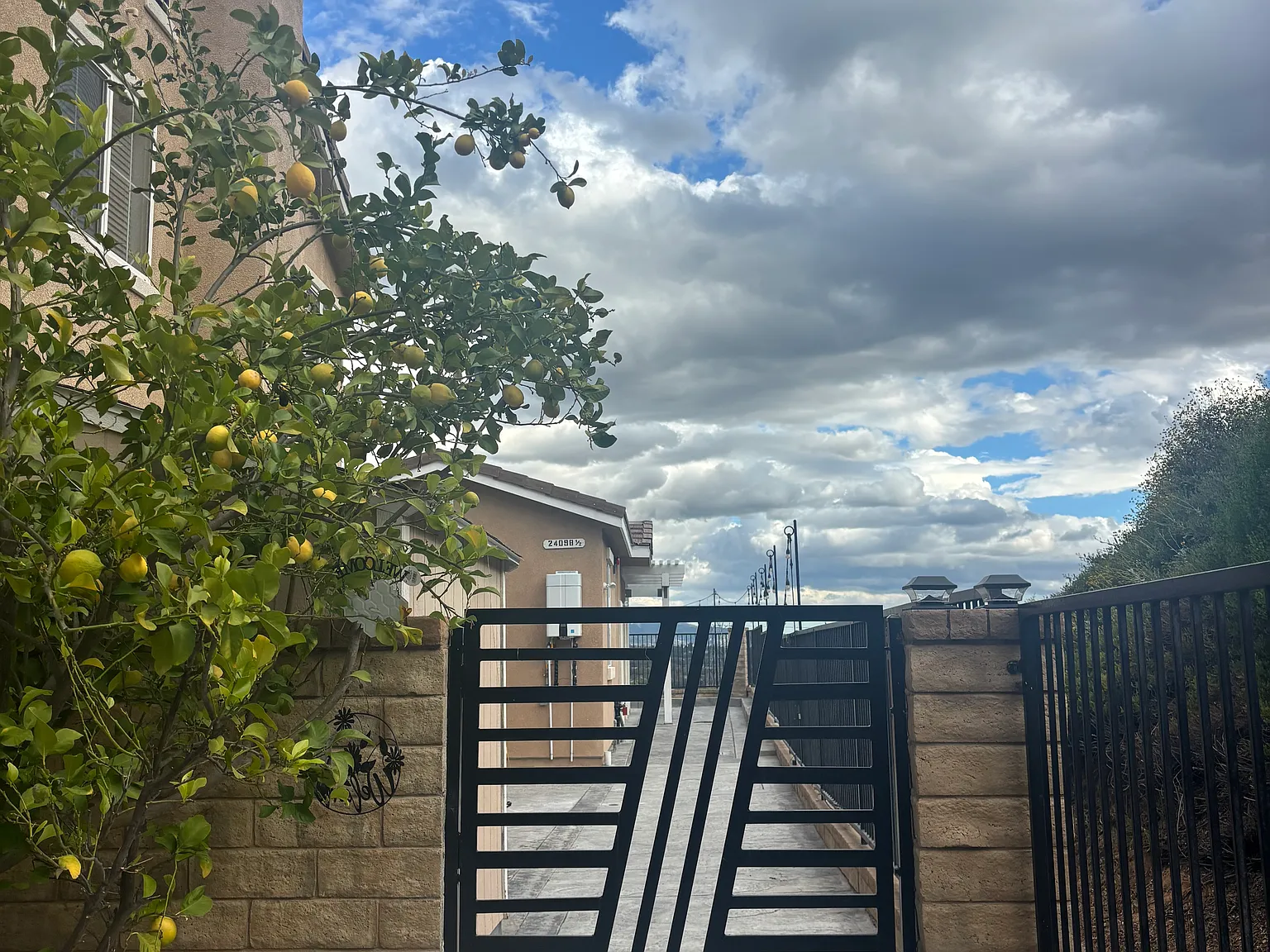 1 bed, 504 sqft, $2,300 — Photo 2