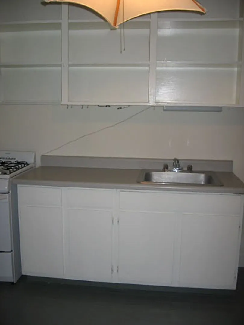 1BR Apartment at 307 Ransom Walk to Class or Downtown — Photo 2