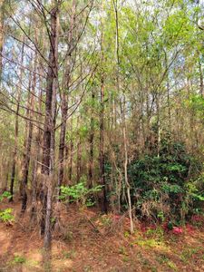 39550 Highway 10, Franklinton, LA, 70438