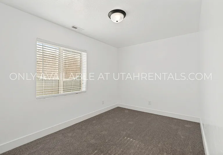 1076 Bear Hollow Ln #BASEMENT — Photo 13