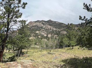 338 Topaz Rd, Lake George, CO 80827