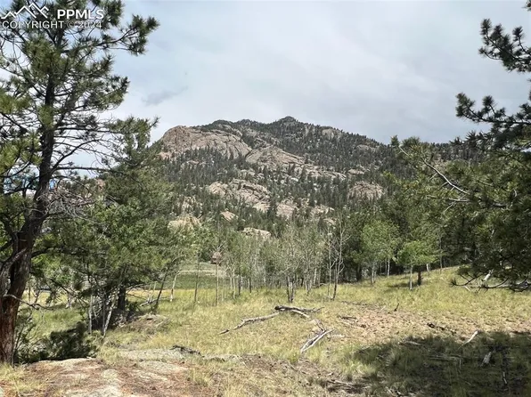 338 Topaz Rd, Lake George, CO 80827