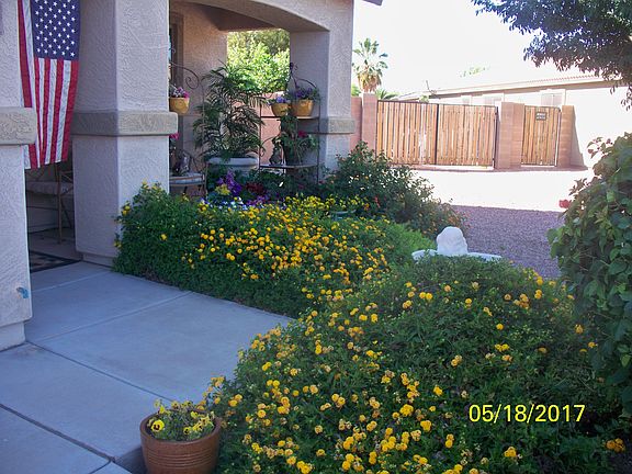 Lush Garden Entry