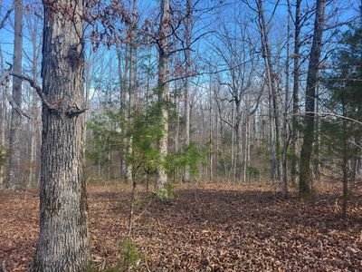 1 Cyclone Ln, Waverly, TN, 37185