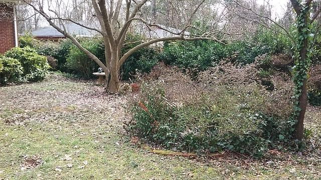 2nd image of 3456 Aztec Rd