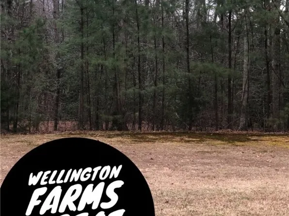 11013 Chippoke Pl, Chester, VA 23831