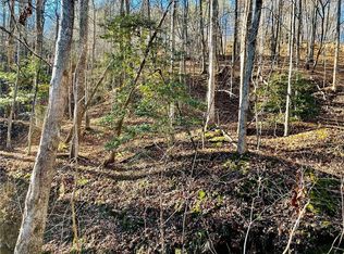 50 Stamp Mill Dr #50, Dahlonega, GA 30533