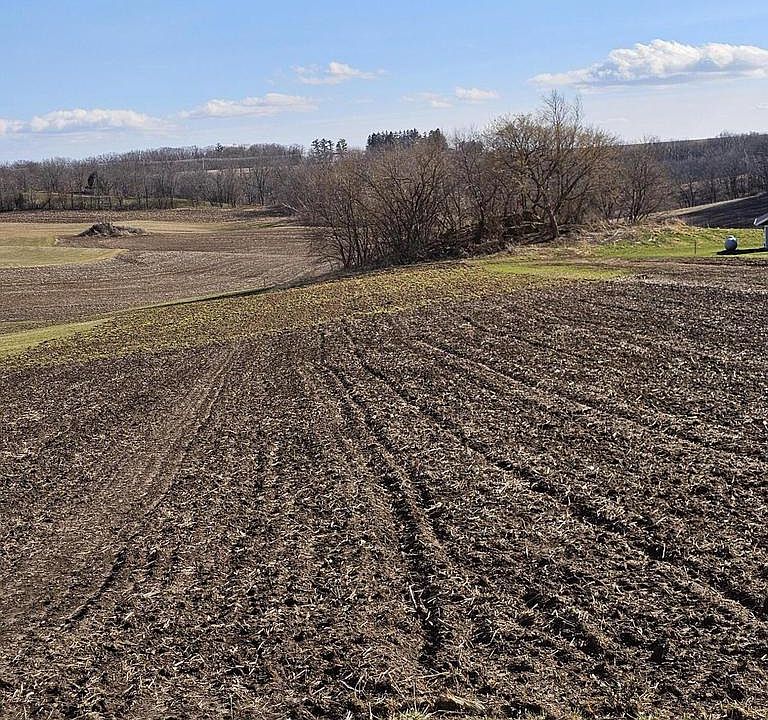 2nd image of 00000 MEADOWVIEW LANE