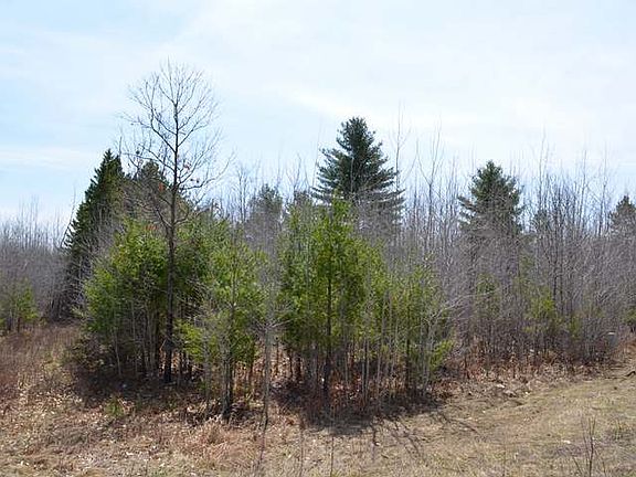 3rd image of On Loop Rd