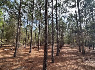 73rd Rd, Mc Alpin, FL 32062