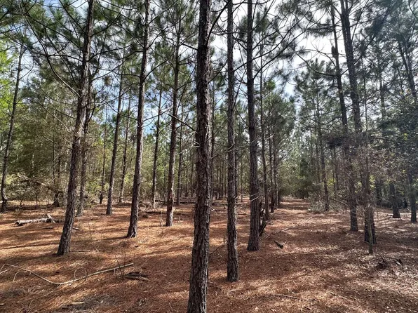 73rd Rd, Mc Alpin, FL 32062