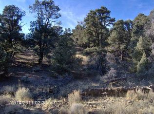 1310 Yellowjacket Rd, Reno, NV 89521