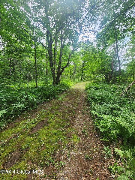 5th image of L16.12 NYS Route 8