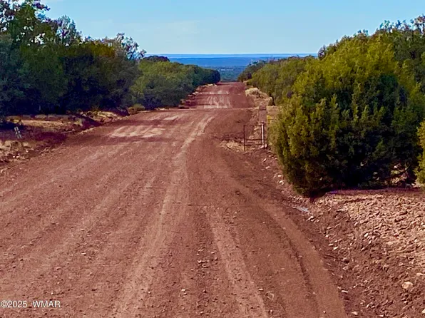 County Road 8271 Lot 10, Concho, AZ 85924