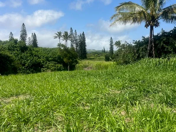 Kanaloa Pl Lot 289, Naalehu, HI 96772