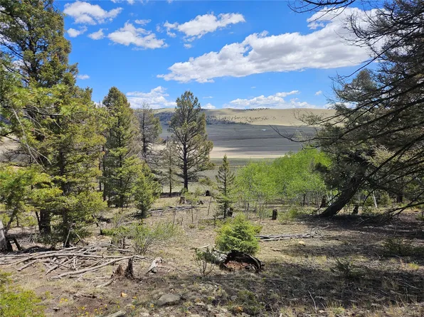 1412 Redhill Road, Fairplay, CO 80440