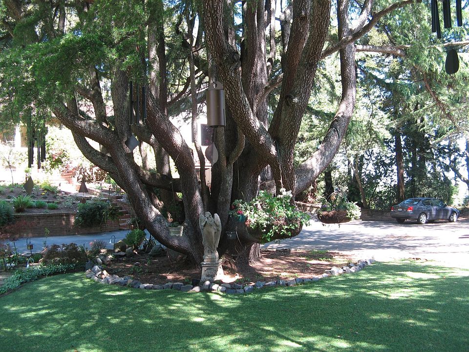 Zillow Oakland Ms at Nancy Lawson blog