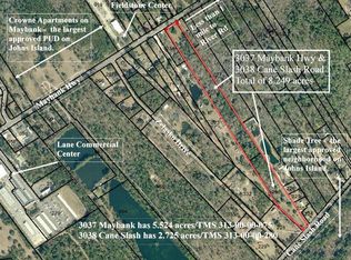 3038 Cane Slash Rd, Johns Island, SC 29455