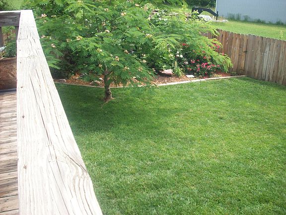 Flower Garden in Back